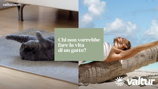 Valtur, vita da gatto