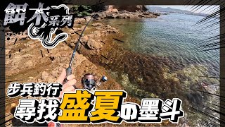 【餌木】半日快閃步兵釣行 尋找盛夏之墨斗 | #香港釣魚