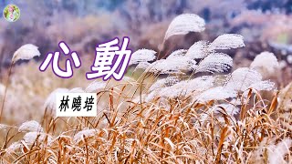 【那些年聽的華語歌】林曉培 - 心動🎵🌸有多久沒見你，以為你在哪裡，原來就住在我心底，陪伴著我的呼吸🌸🎵