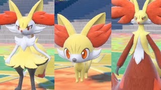 【ポケモンSV 】フォッコ テールナー マフォクシー モーション集 ピクニック【ポケモン スカーレット・バイオレット】