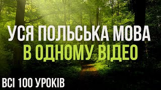 Польська мова в одному відео. Польська мова за 100 уроків. Польські слова та фрази. Польська з нуля.