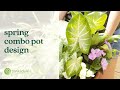 Spring Combo Pot Design