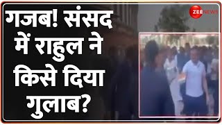 गजब! संसद में राहुल ने किसे दिया गुलाब? | Congress | Parliament Session | Protest | Adani | PM Modi