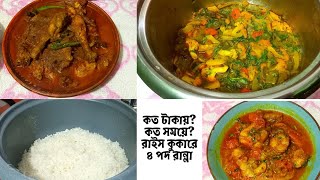 অল্প সময়ে! অল্প খরছে! মজার স্বাদে রাইস কুকারে রান্না!TASTY COOK with Rice cooker! #ricecookerrecipe