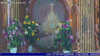 LIVE - ST ANTONYS SHRINE CHETTIKKAD