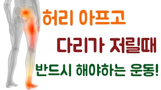 [닥터홍선생]#30.허리가 아프고 다리 뒤쪽으로 저리다면 반드시 해야하는 운동 한 가지!