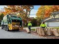 WM Garbage Truck Packing Leaf Bag Piles