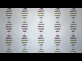 what is a genome brain waves episode 7