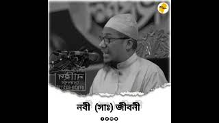 নবী সাঃ জীবনী। কথা গুলো শুনে যান🙏। আনিসুর রহমান আশরাফী ওয়াজ 🌸। #আনিসুর_রহমান #ওয়াজ #viralvideo