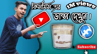 কিসমিস এর ডান্স দেখুন। Amazing dancing raisins science experiment.