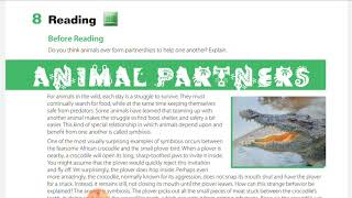 Animal Partners أ/ وائل العشري