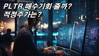 PLTR 깊은 조정오면 무조건 매수하자...