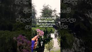 ප්ලැන් එක වෙනස් කරලා ආයේ පටන් ගන්න#shortvideo #subscribe #like #beautiful #srilanka