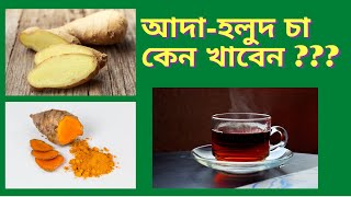 আদা হলুদ চা || turmeric ginger tea for  immunity