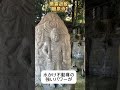 【見れたら開運】不動明王と龍神パワー送ります