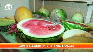 Дарбыз сезону башталды: уулангандар жокпу?