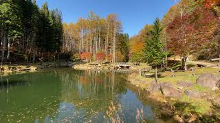 Seseragi Kaido: Autumn Leaves in Gifu [4K] 飛騨せせらぎ街道 岐阜