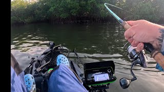 New Years Day Pre- Cold Front Snook Action | Indian River Lagoon