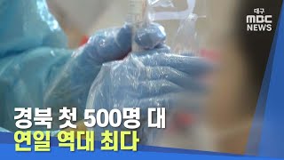 [대구MBC뉴스] 경북 첫 500명 대 연일 역대 최다