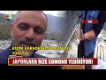 japonlara rize somonu yediriyor