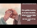 Che gelida manina -  La bohème (English Lyrics with AI art)