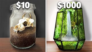 $10 vs $1,000 Ecosistema de Terrario