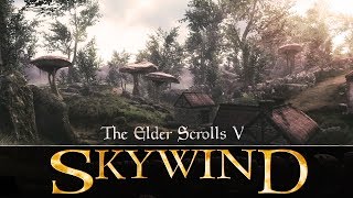 Skyrim Mod: Skywind Project