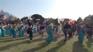 総踊り～川棚菜の花よさこい～芝生会場