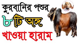 কোরবানির পশুর ৮টি অঙ্গ খাওয়া হারাম|হালাল পশুর ৮টি অঙ্গ খাওয়া হারাম|গরুর ভুড়ি খাওয়া হালাল নাকি হারাম?