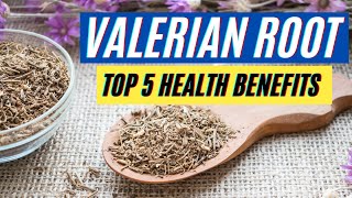 Valerian Root Health Benefits: 5 Powerful Health Benefits