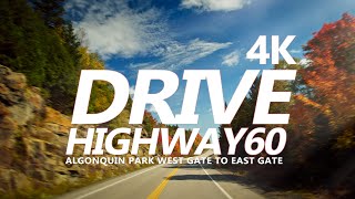 Sunny drive along Highway 60, Algonquin Park. West Gate to East Gate - Uncut. 4K 60fps Stereo.