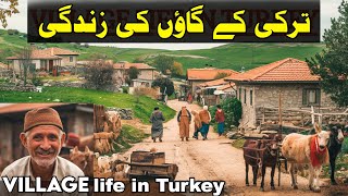 Turkish 🇹🇷 Village Rural Life Documentary in Urdu/Hindi | ترکی کے گاؤں کی زندگی