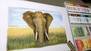 elephant｜Oil pastel drawing