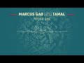 Marcus Gad meets Tamal - Young One (Official Audio)