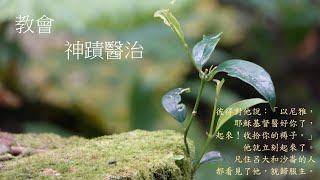 靈修:教會-神蹟醫治 20241225