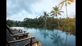 Natya Resort Ubud Offers - Hotels in Ubud - Up to 70% OFF with us.