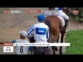 Live Hippodrome « CASABLANCA » | Courses du « 08/11/2024 »