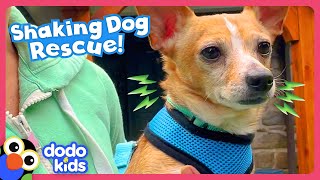 Family's 50th Foster Dog Is Their Trickiest Rescue Yet! | Dodo Kids | Rescued!