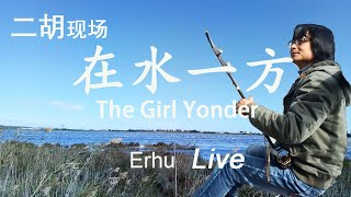 现场录制二胡拉奏邓丽君经典《在水一方》街头二胡在水一方Live Erhu playing Teresa Teng's \