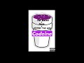 CODEINE - KING JAY RACK$ x YAKA x VOSSAY The WAV