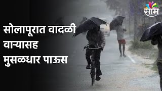 Rain in Solapur | सोलापूरात वादळी वाऱ्यासह मुसळधार पाऊस, पावसाचा द्राक्षबागांना मोठा फटका