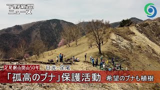 「孤高のブナ」保護活動 希望のブナも植樹 日光　足尾銅山閉山50年