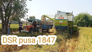 DSR Pusa 1847