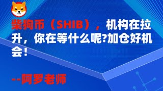 柴狗币（SHIB），机构在拉升，你在等什么呢加仓好机会！