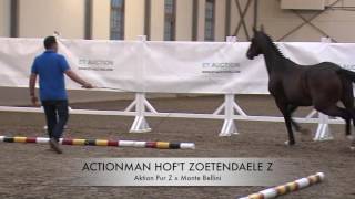 Actionman hof't Zoetendaele Z (Aktion Pur Z x Monte Bellini)