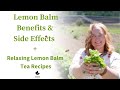 Lemon Balm Benefits and Side Effects + Relaxing Lemon Balm Tea Recipes