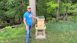 Beehive 8 Frame Bee Hives and Supplies Starter Kit #amazonfinds #beehive
