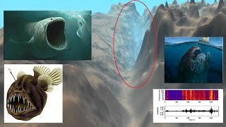 El Misterio que se Esconde en el Lugar Más Profundo del Océano