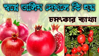 স্বপ্নে ডালিম ফল দেখলে কি হয় | স্বপ্নে আনার দেখলে কি হয় | shopne dalim dekhle ki hoy |