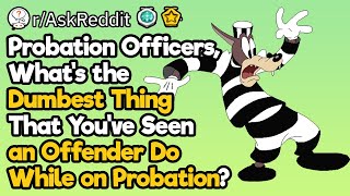 Probation Officers, Whats the Dumbest Thing That You’ve Seen an Offender Do?